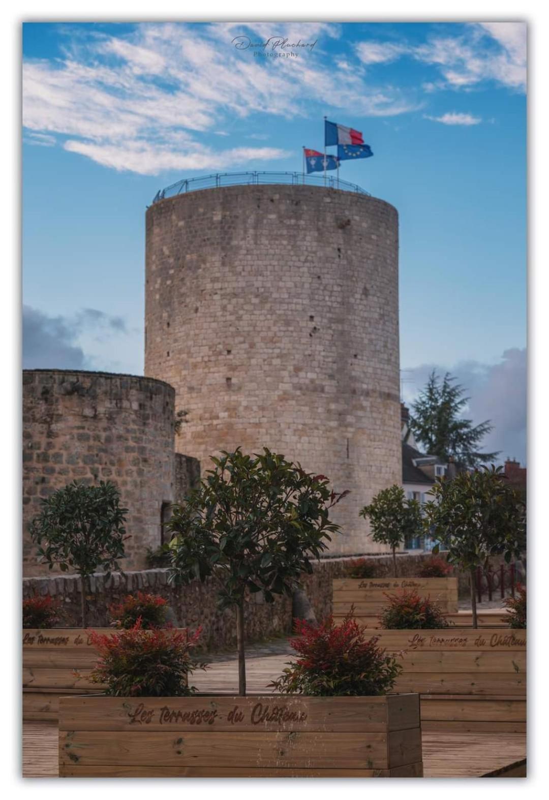 Chambre D'Hote Du Chateau Dourdan Exterior foto